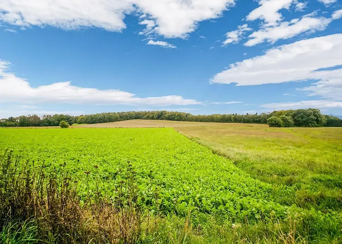 In Near Bergherbos * Kilder